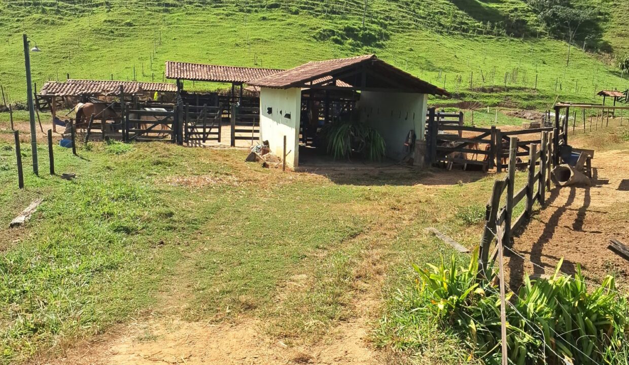 WhatsApp Image 2026-05-12 at 10.55.06 (1)
