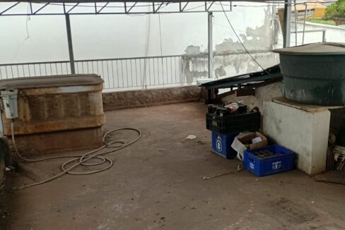 WhatsApp Image 2026-09-10 at 10.02.51 (1)